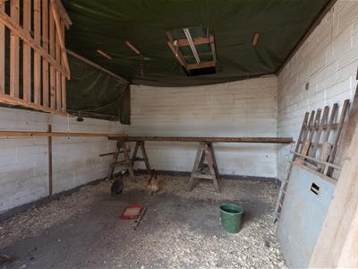 Picture 27